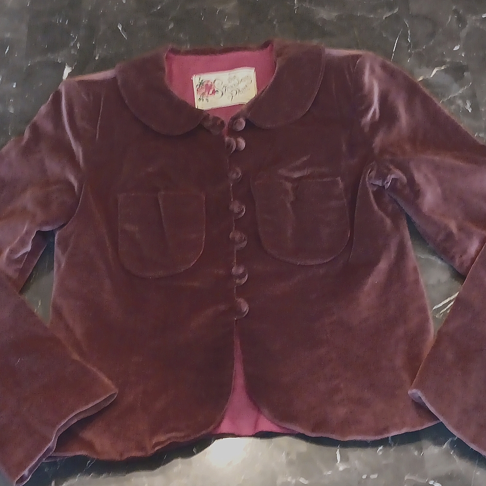 VINTAGE 70s! The Strawberry Plant..(DOROTHY SCHOELEN) VELVET BLAZER